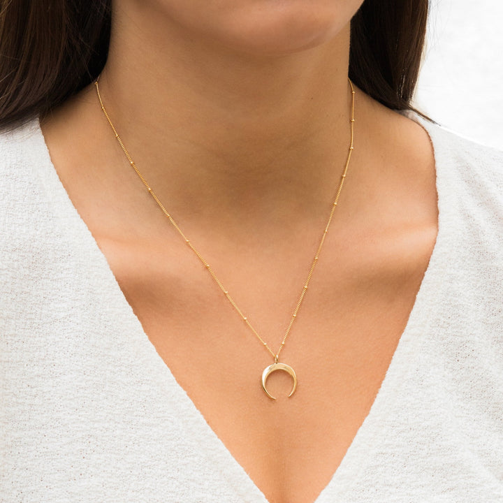 Dainty Horn Necklace