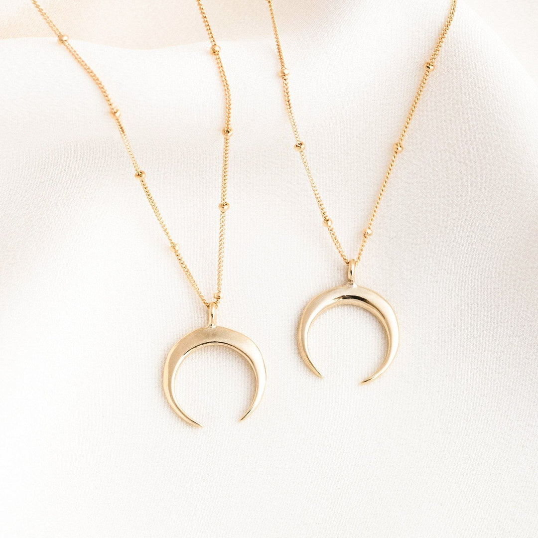 Dainty Horn Necklace