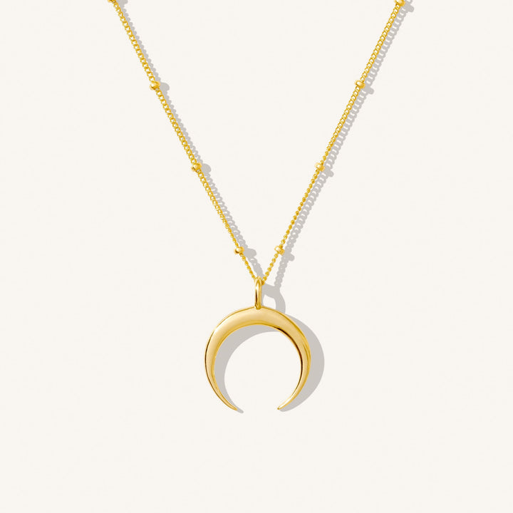 Dainty Horn Necklace